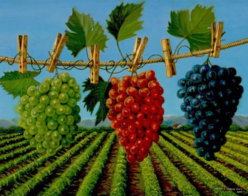 grapes_clothline_lg