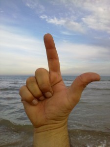 281020100161-225x300