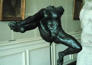 rodin_iris