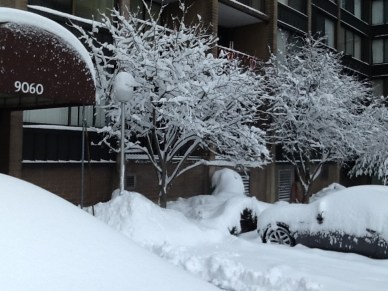 nuestro edif nev 2013