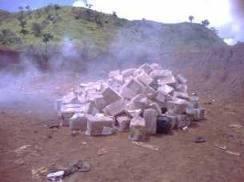 532066_10200607580824376_390998336_n