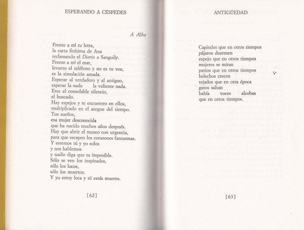 De Todo para una sombra (3)