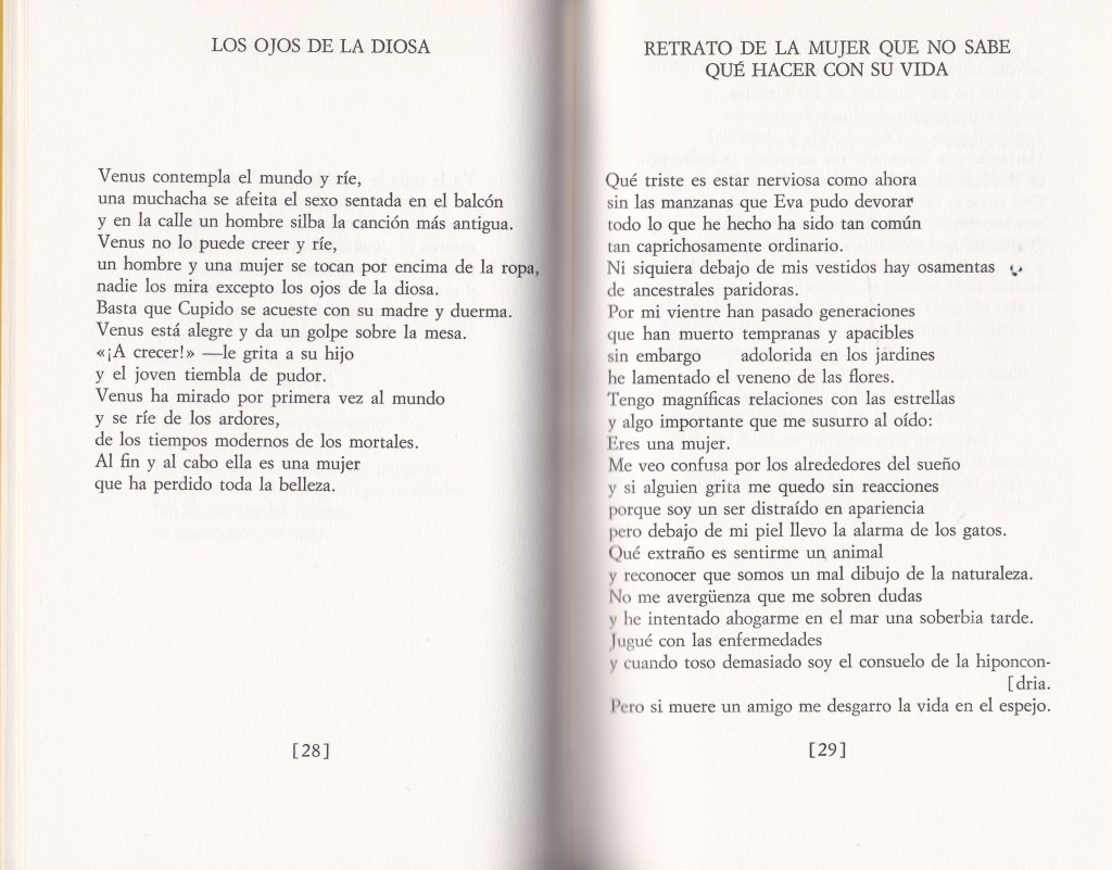 De Todo para una sombra