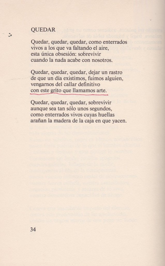 Esostusojos3