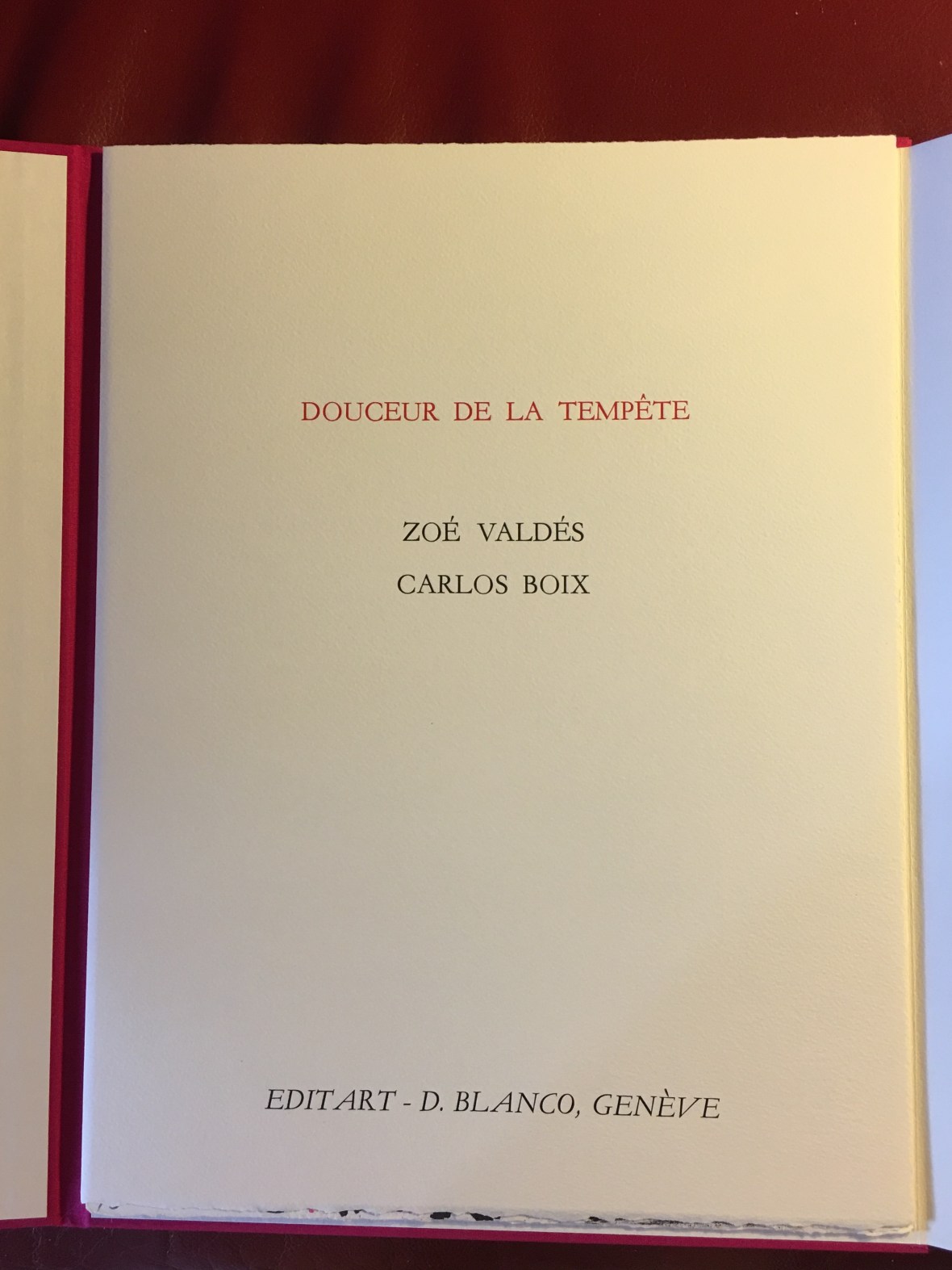 Douceur de la tempête - Zoé Valdés